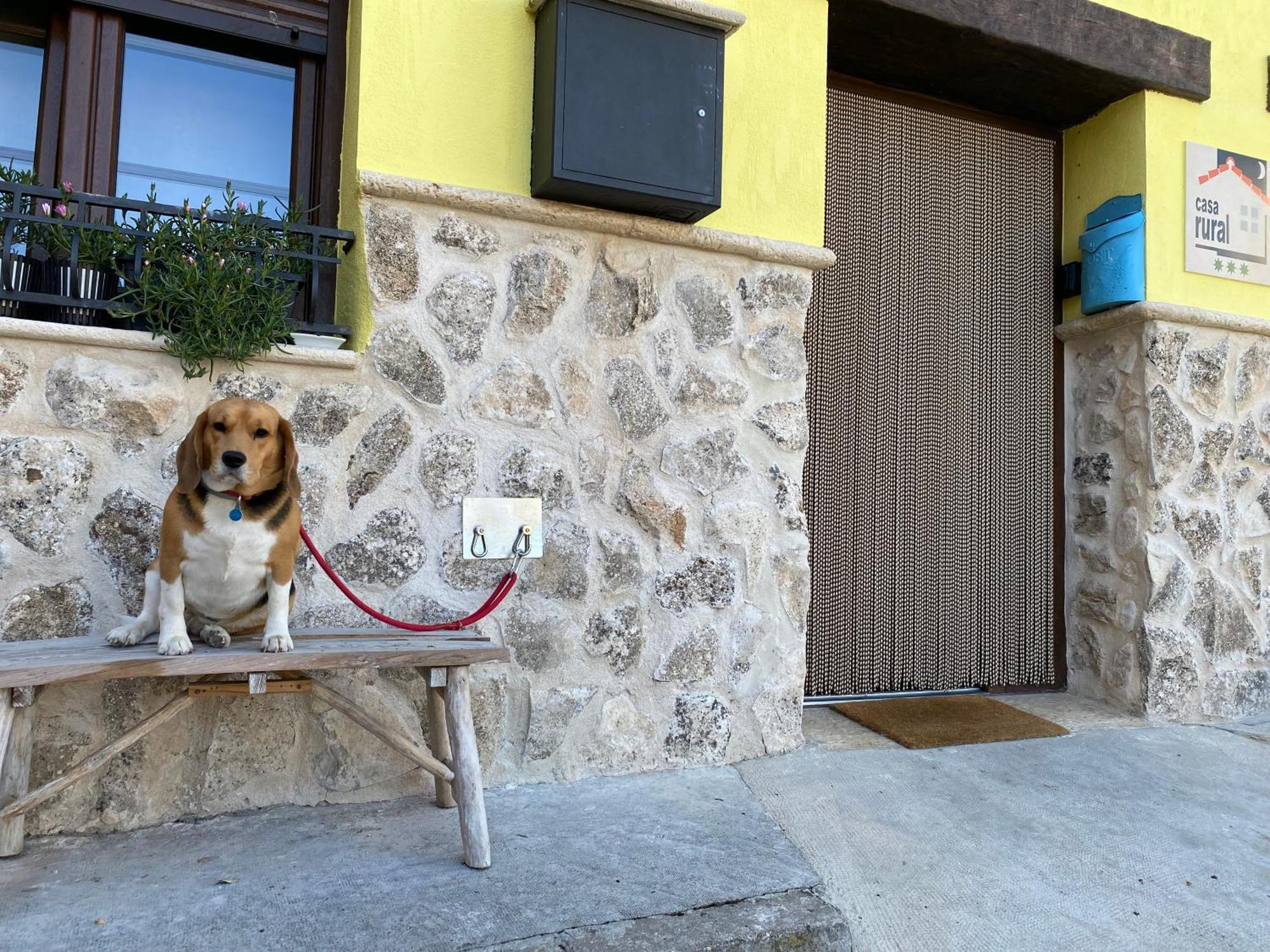 La Casa Del Campillo *